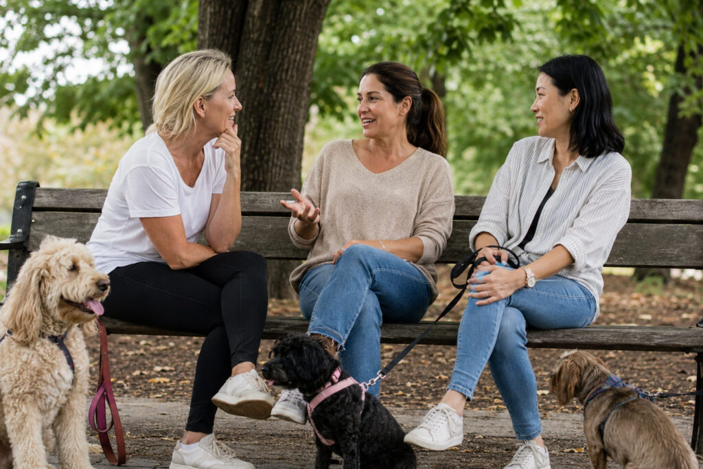 Three women in their 40s of different backgrounds sit on a park bench after walking their dogs, engaged in a friendly conversation while their dogs relax nearby in a leafy, sunlit park setting