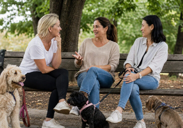 Three women in their 40s of different backgrounds sit on a park bench after walking their dogs, engaged in a friendly conversation while their dogs relax nearby in a leafy, sunlit park setting