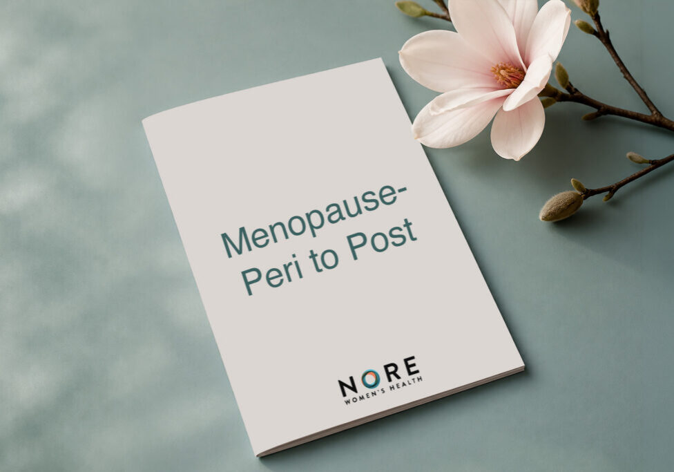 Illustration representing perimenopause, menopause, and postmenopause educational resources with a booklet cover, magnolia flower, and Nore Women's Health branding.