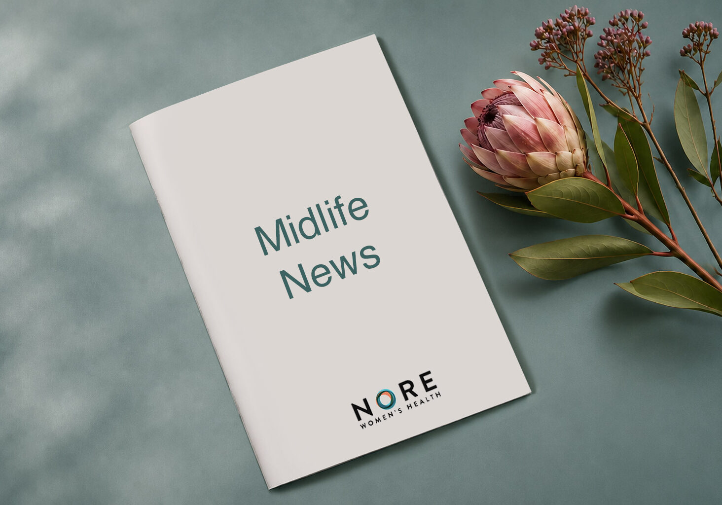 Illustration representing menopause and midlife health news resources, featuring a booklet cover with botanical elements and Nore Women's Health branding.