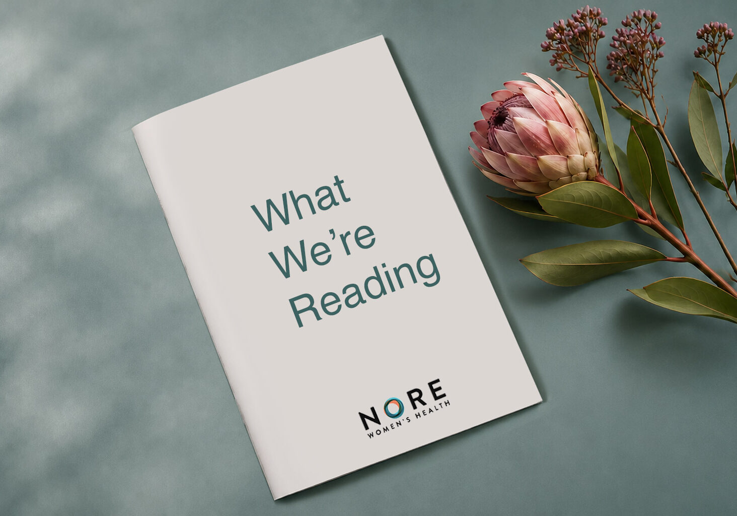 Illustration representing What We're Reading about menopause and midlife health news featuring a booklet cover with botanical elements and Nore Women's Health branding.